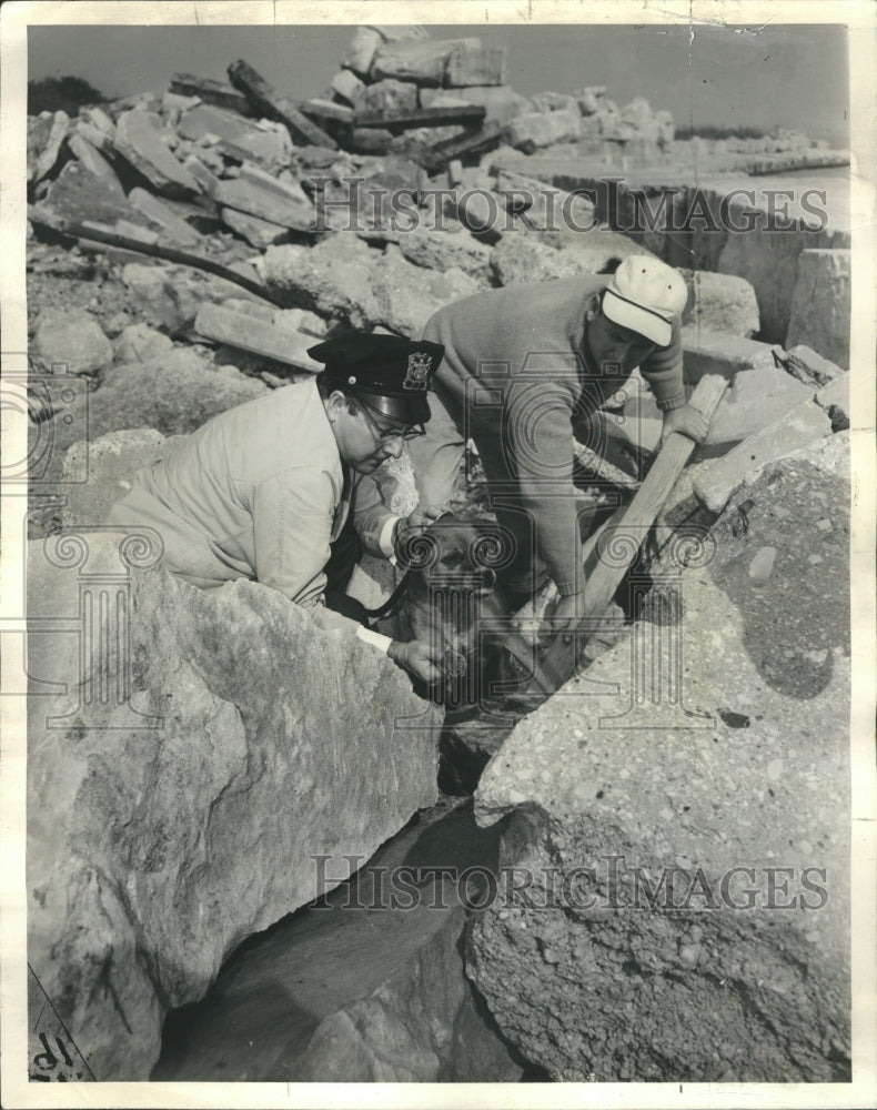 1966 Allen Glisch Animal Rocks Michigan - Historic Images