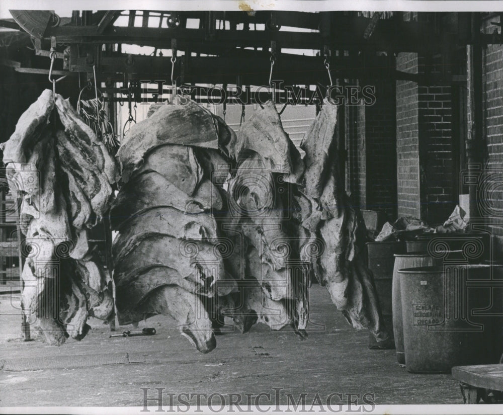 1967 Press Photo Fulton MarketGarbage Meat Truck Pix