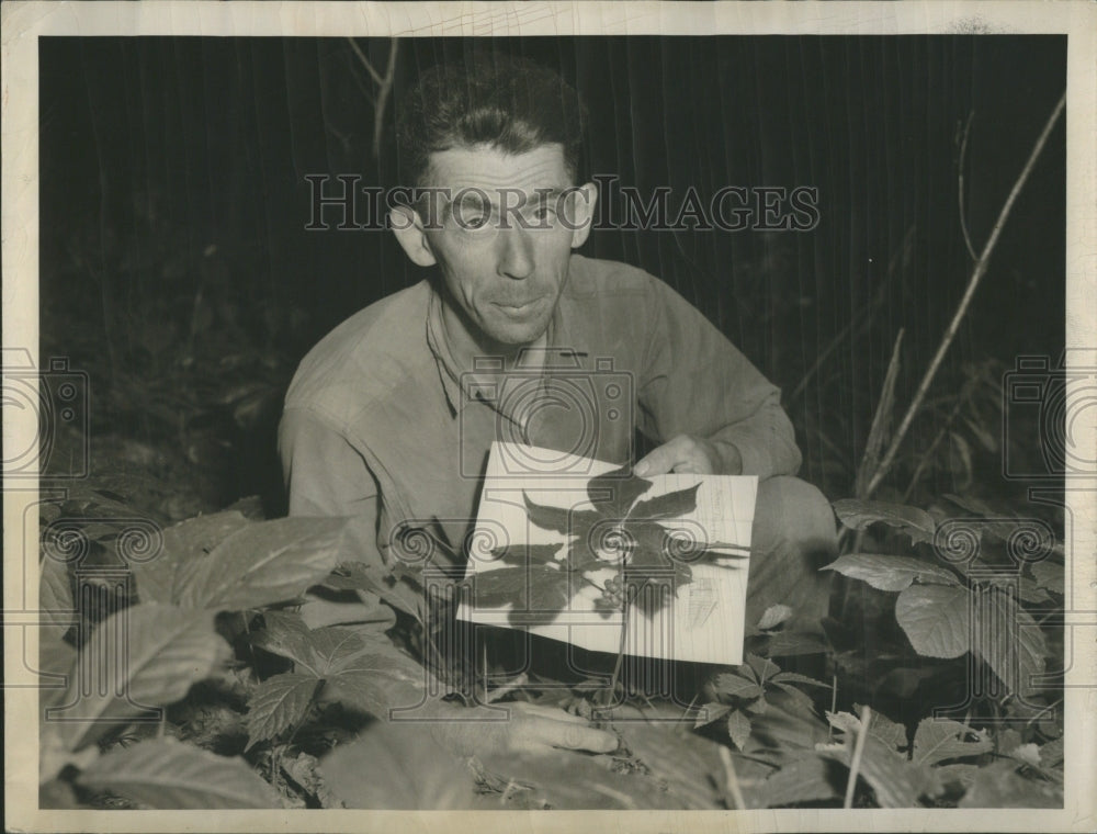 1948 Press Photo Frank M.Ziegler Farmer Wooded patch