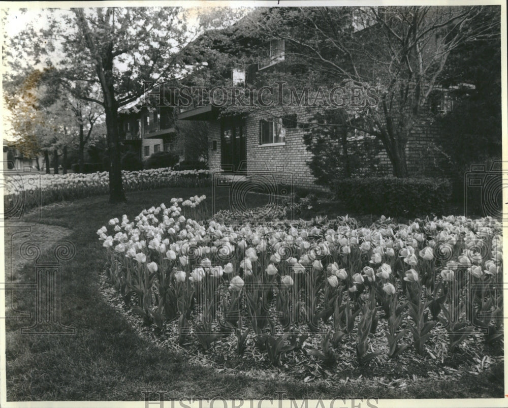 1985 Press Photo Rolling Meadows Housing