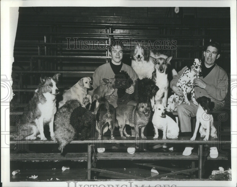 1967 Press Photo World&#39;s most lovable Dog stars