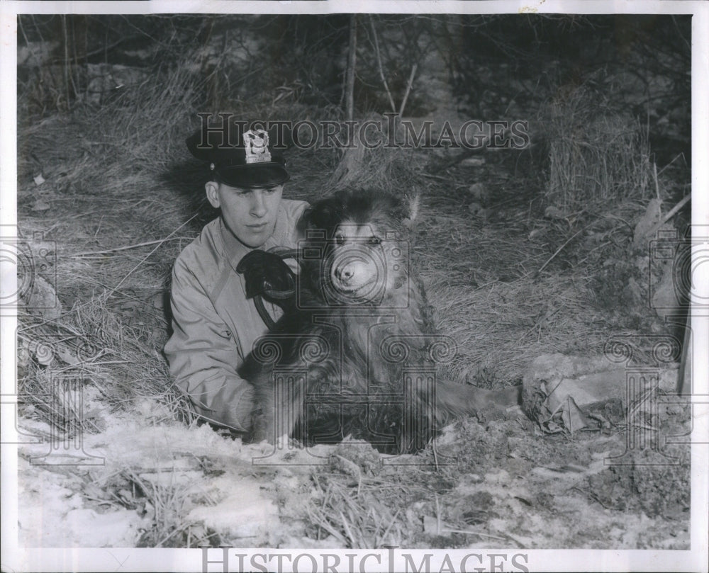 1962 Press Photo Animal Welfare League Rescue Dog Hole