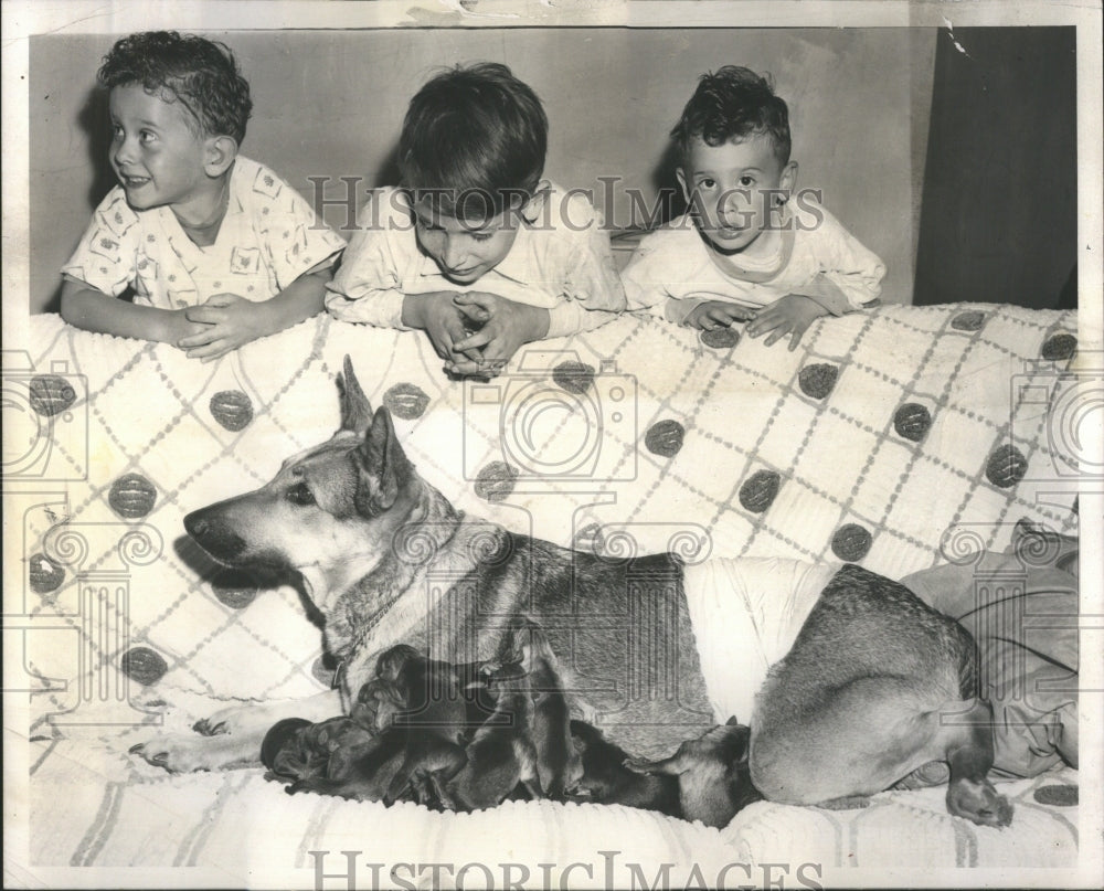 1958 Press Photo Champ Hospital Laurie Steve Wayne