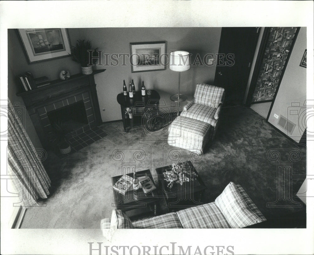 1980 Press Photo Decor Living Room