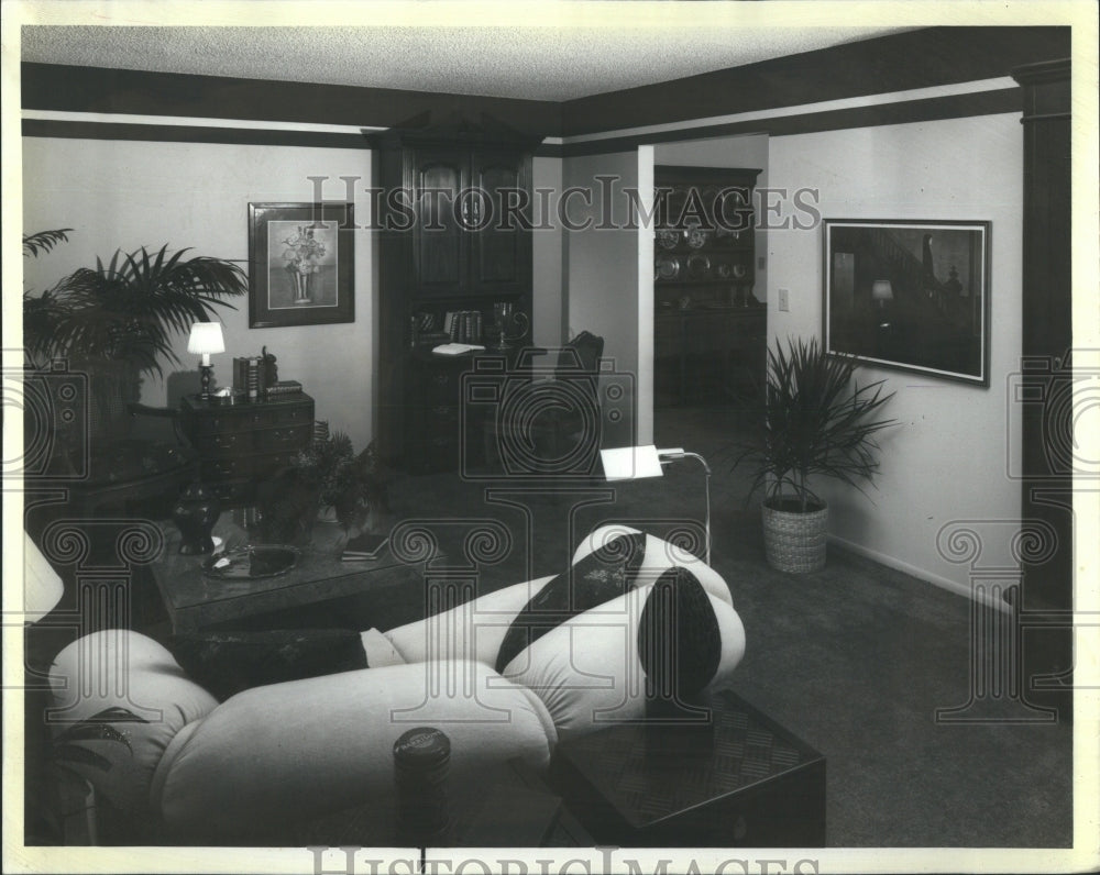 1980 Press Photo Modern Living Room Port Richey, FL