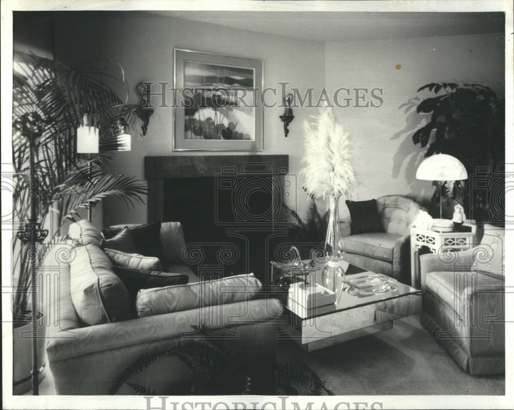 1979 Press Photo Shelly Barrad Living Room Decor