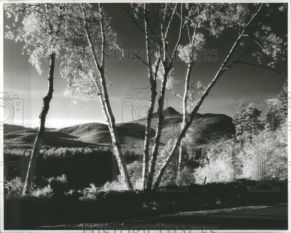 1958 Press Photo Neuat Checorua Mountain Eampahire