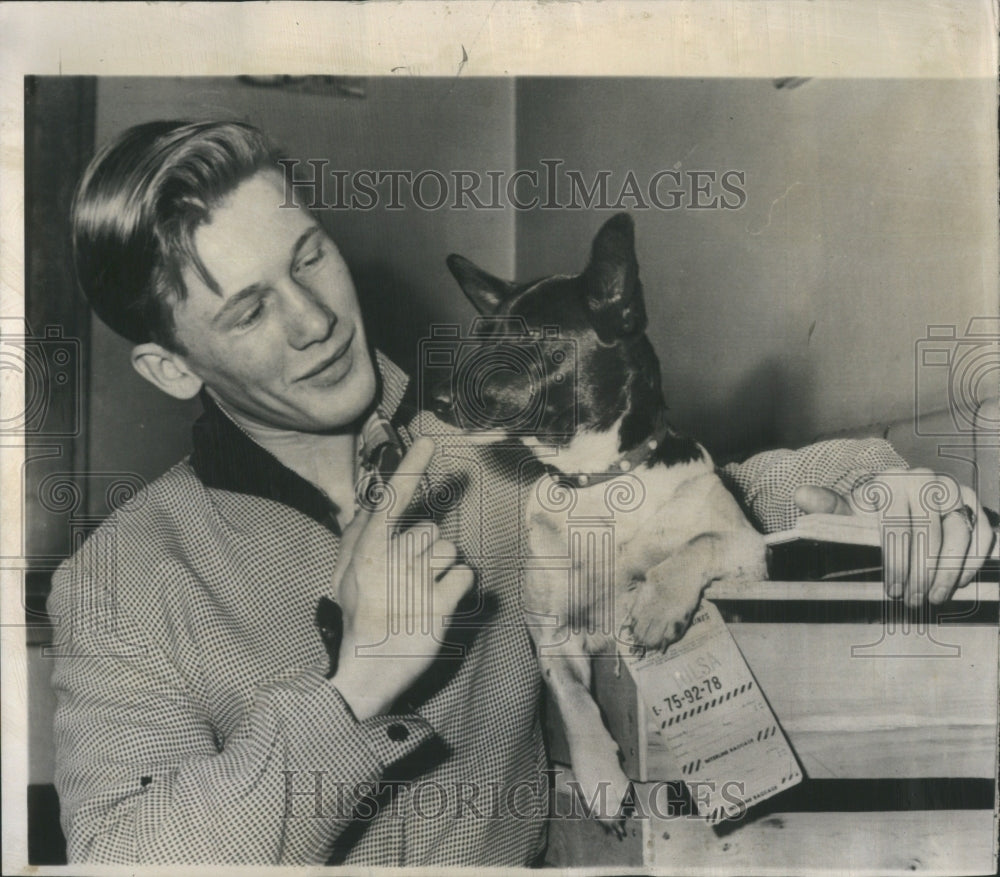 1954 Press Photo Fox Terrier Tulsa Toronto Cleveland