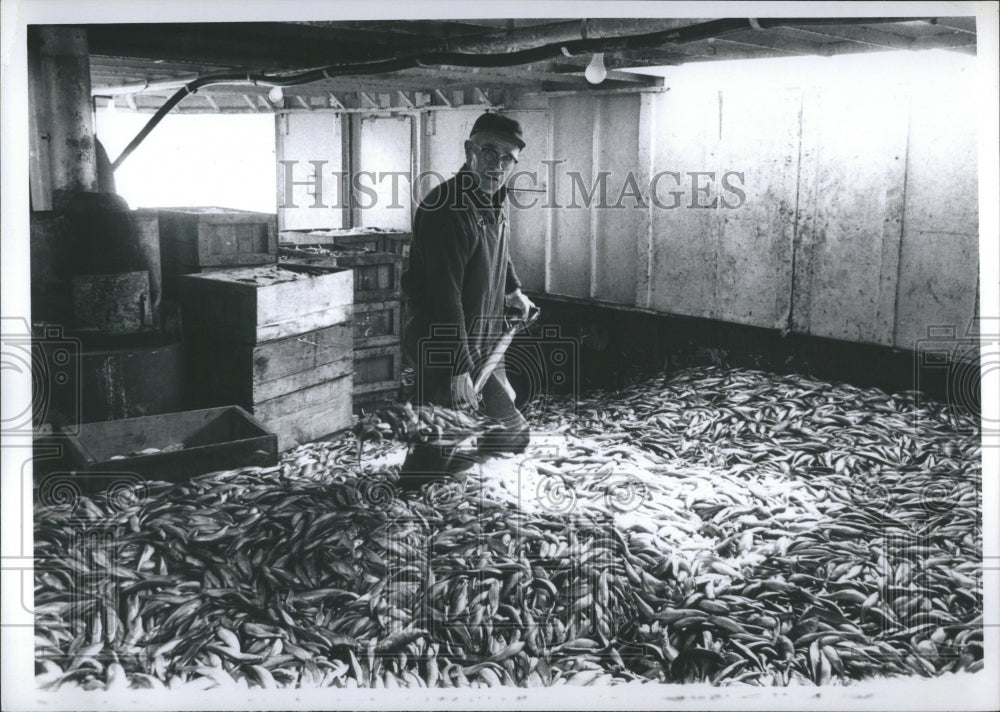 1972 Press Photo Smelt Fishing