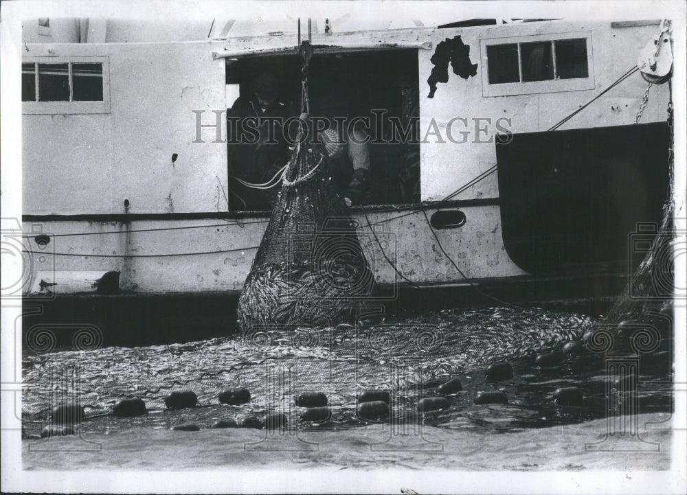 1973 Press Photo Smelt Fishing Wheatley Ontario Canada