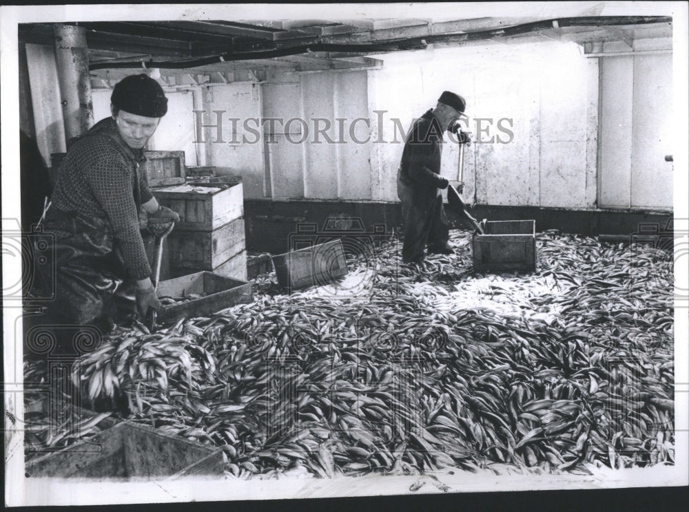 1972 Press Photo Fishermen Storage Room cramed