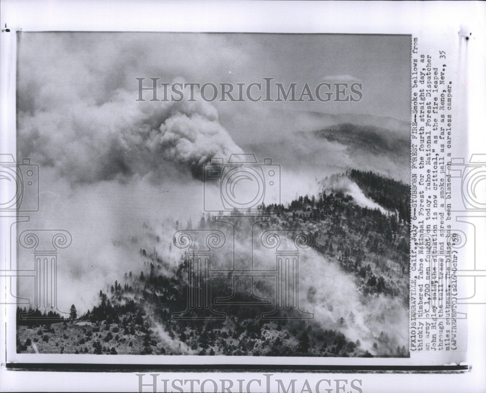 1959 Press Photo Stubborn Forest Fire--Smoke Tahoe