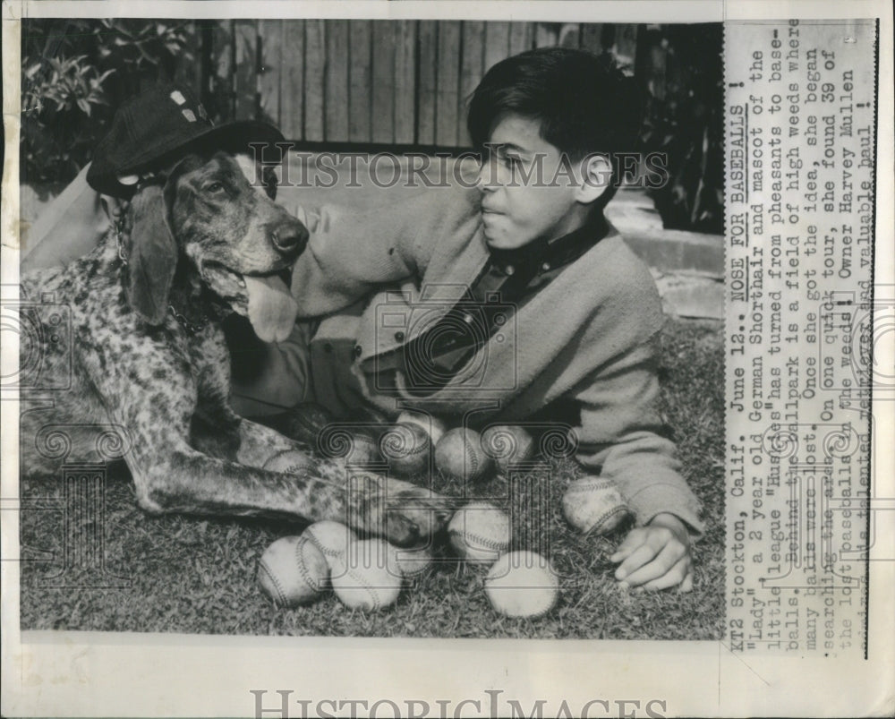 1965 Press Photo Little League Huskies Mascot Baseballs