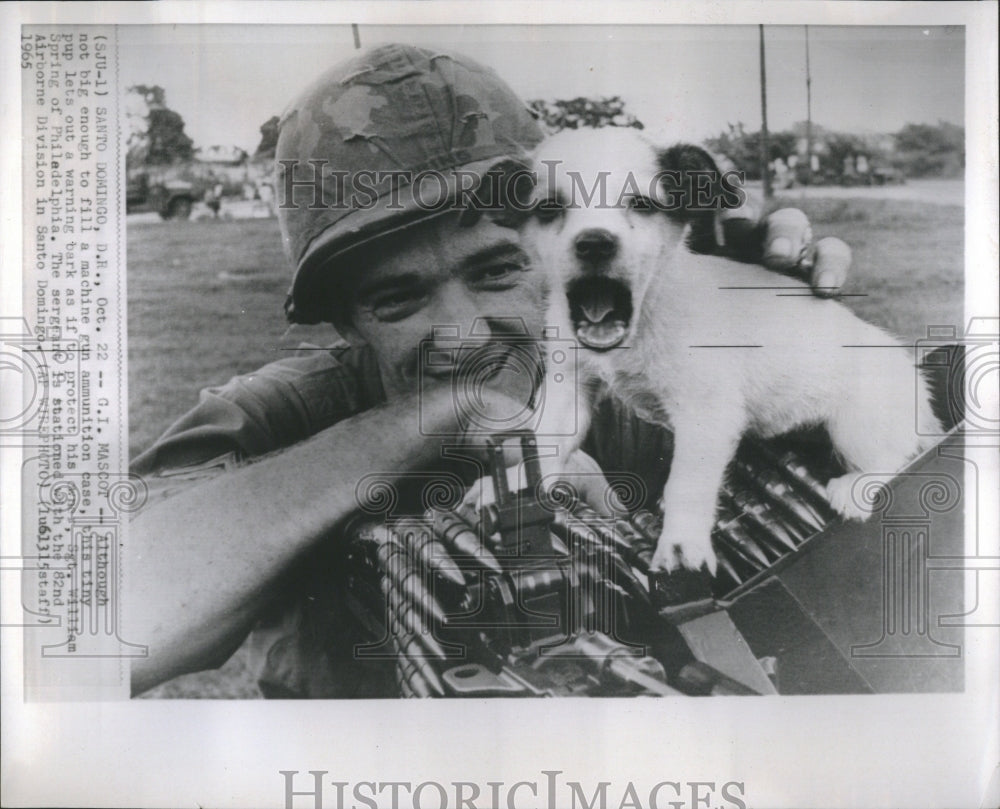 1965 Press Photo Sergeants Puppy Santo Domingo Spring