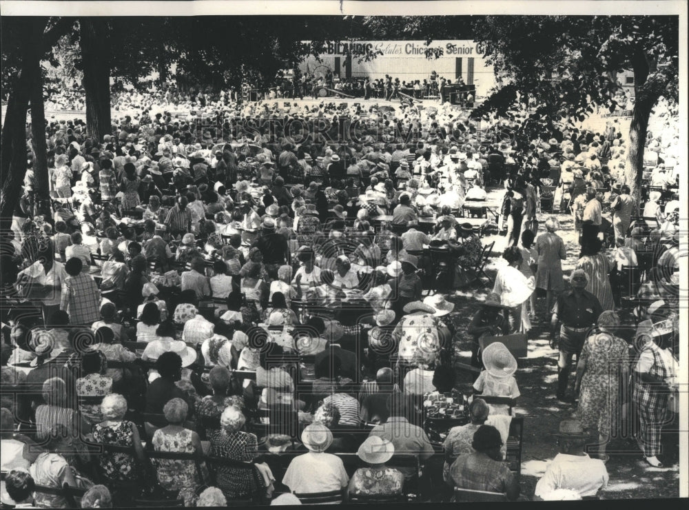 1977 Press Photo Chicago Senior Citizen Picnic Crowd