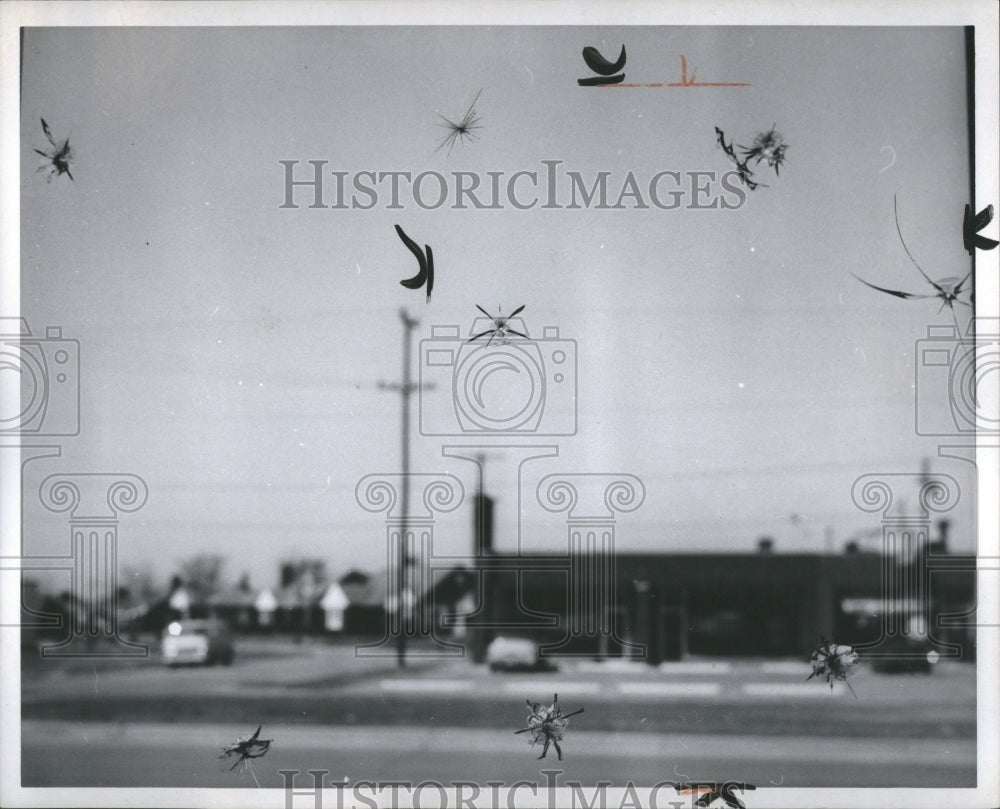 1966 Press Photo Glass Holes Vandala Nanadahoin