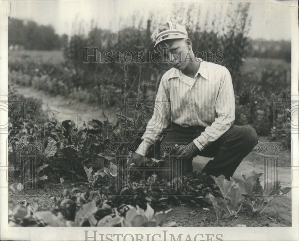 1929 Press Photo Garden Planned Incorporate