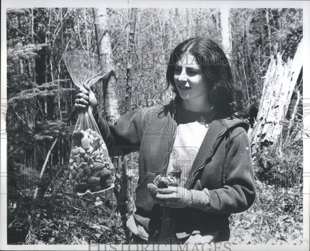 1978 Press Photo Mushroom Produced Cultivated