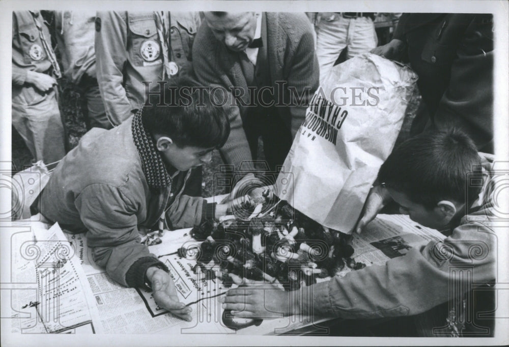 1967 Press Photo Boyne City Commerceoffice Mushrooms