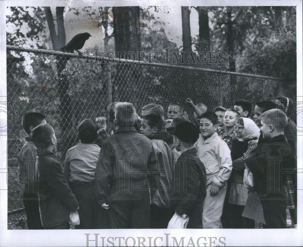 1961 Press Photo Birds Winged, Bipedal, Endothermic