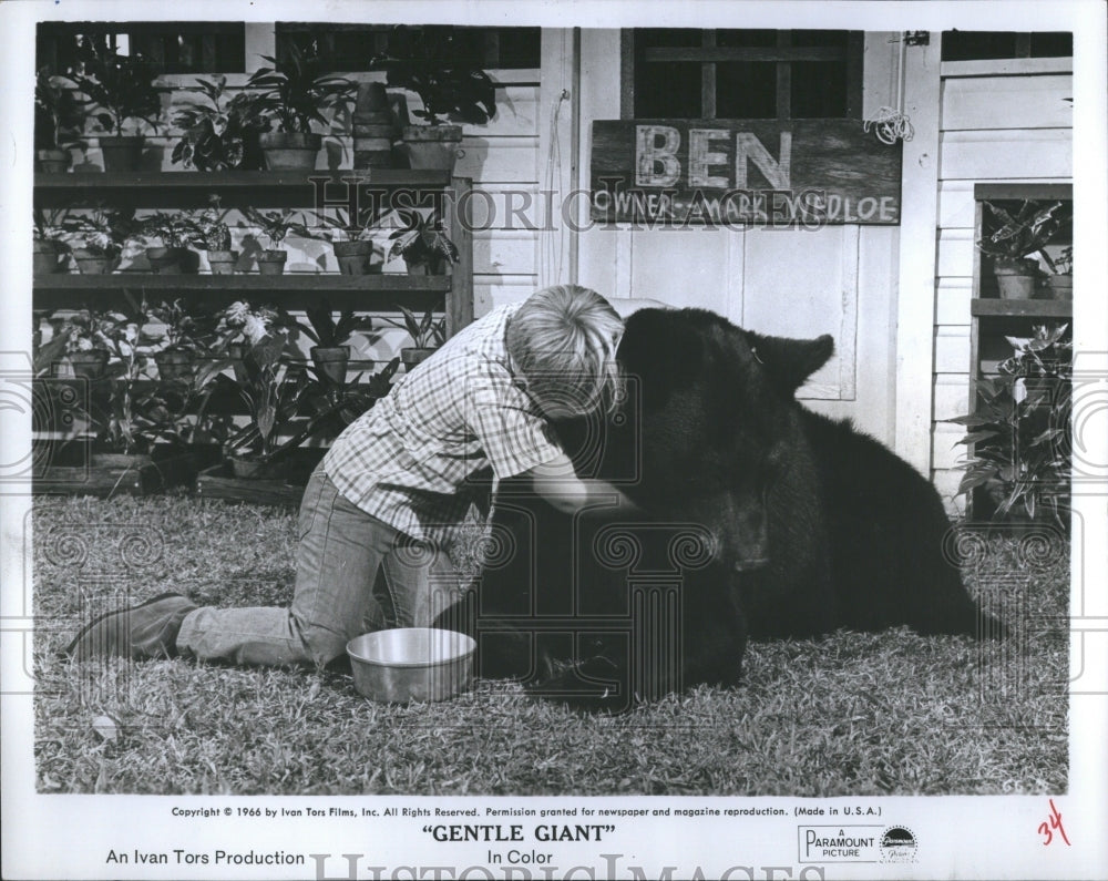 1966 Press Photo Scene from the Movie &quot;Gentle Giant&quot;