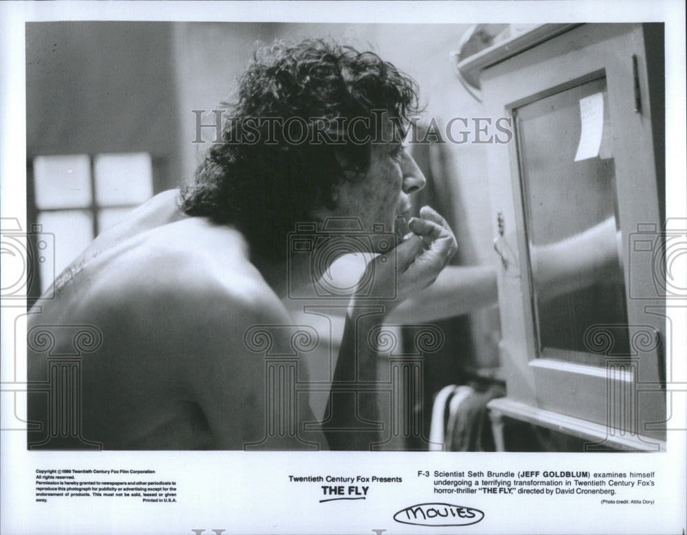 1980&#39;s Press Photo The Fly