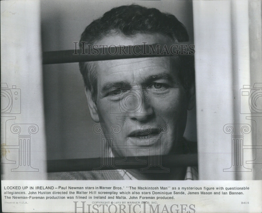 1973 Press Photo Paul Newman