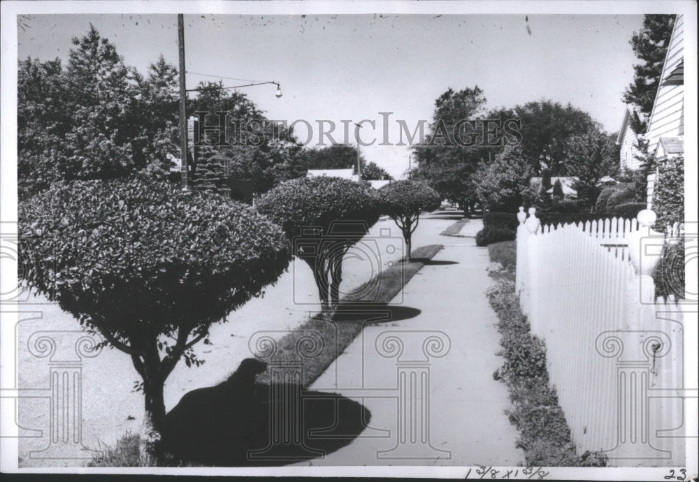 1972 Press Photo Conan Garden Trees Road Grass