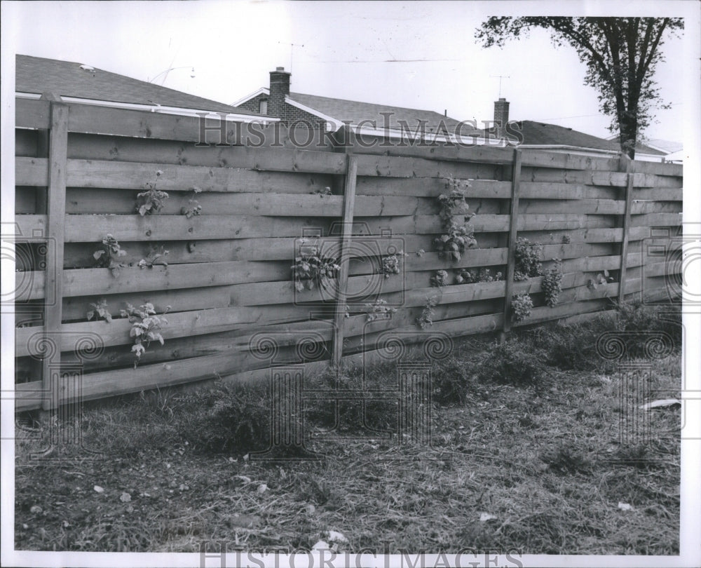 1958 Press Photo Fences