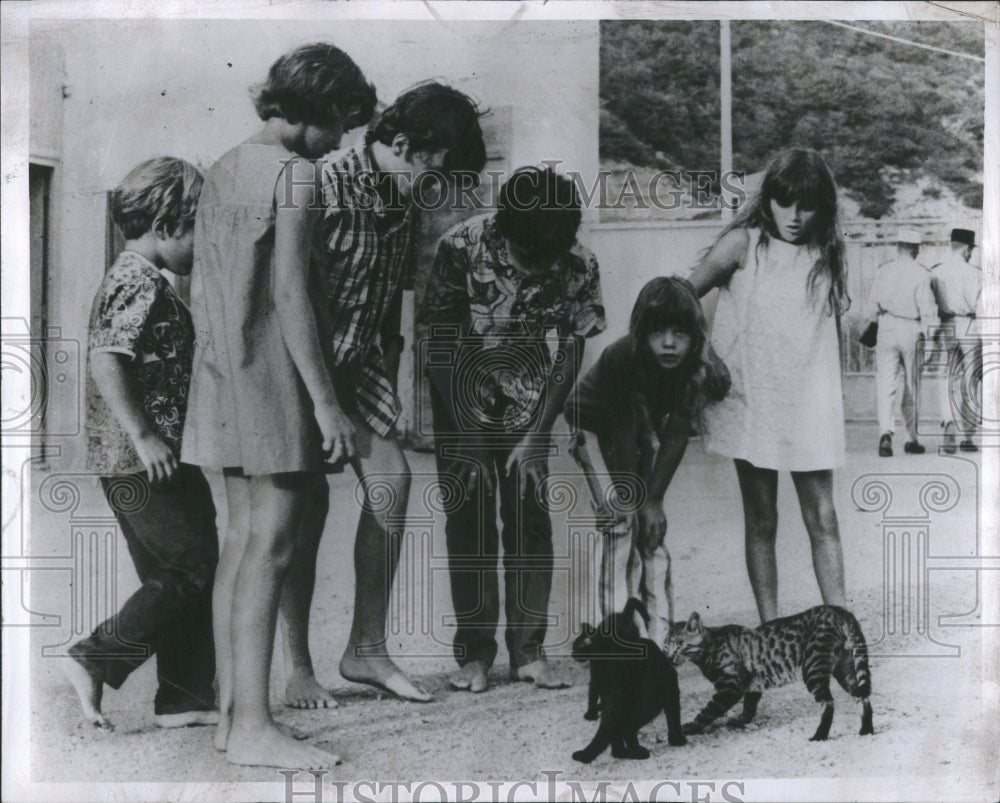 1967 Press Photo Aline Taylor Friends ChildrenMichasel