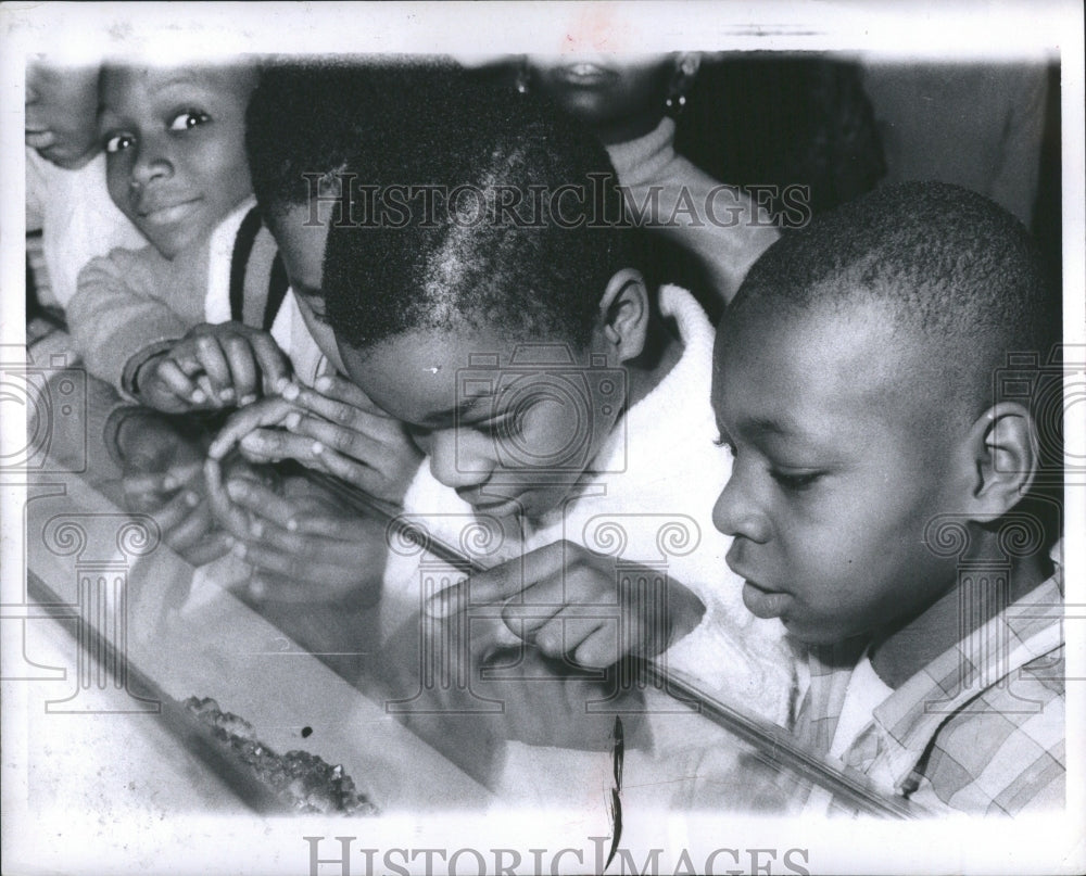 1969 Press Photo Children Observing Insect