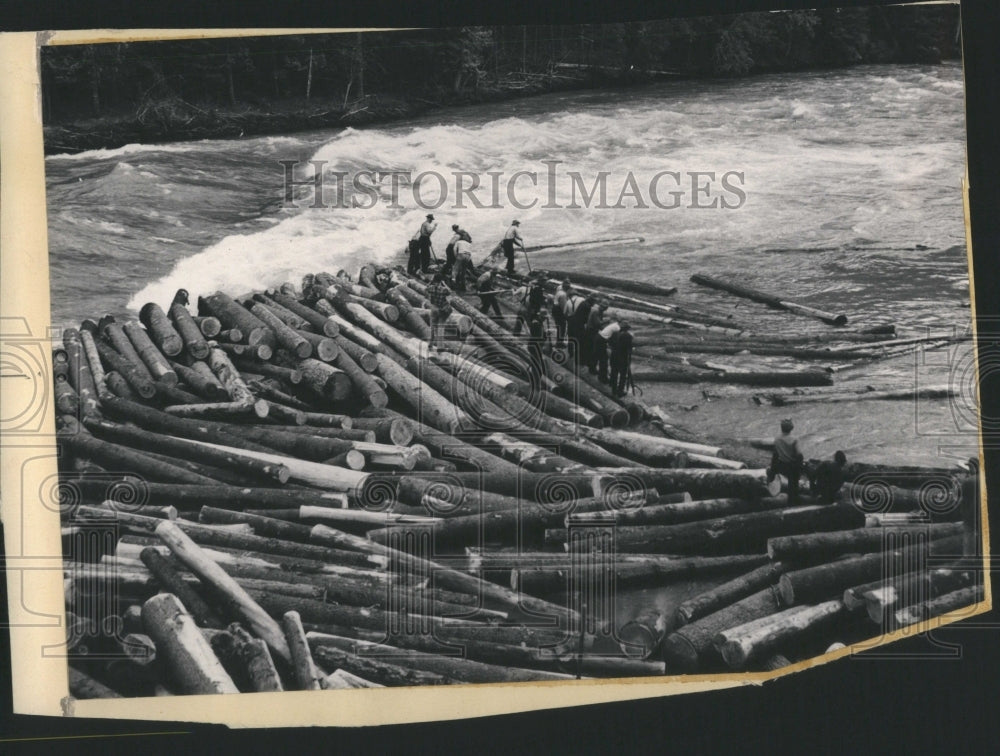 1949 Press Photo softwood lumber dispute