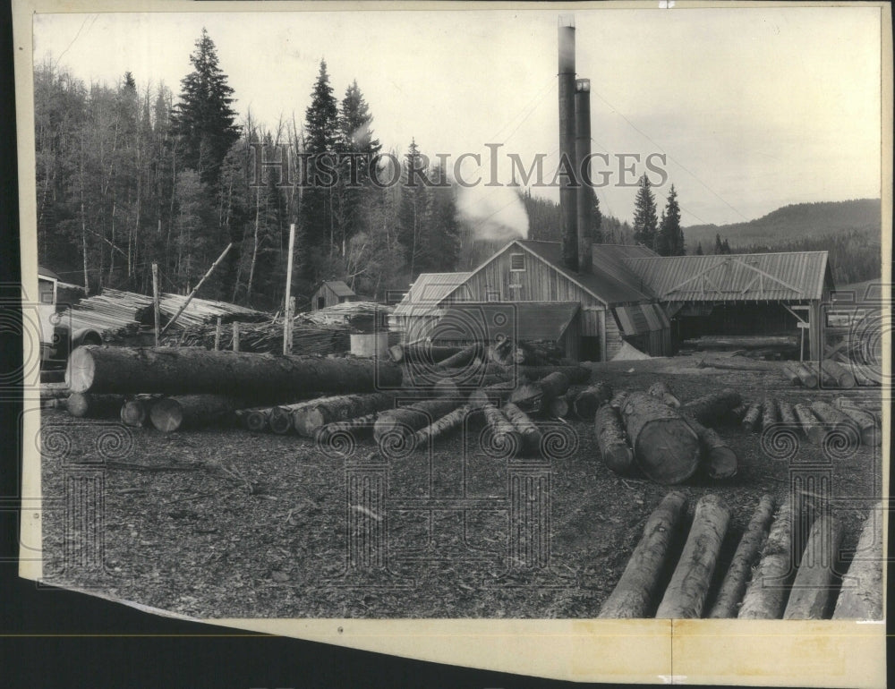 1940 Press Photo Sawmill File Forrest Colorado