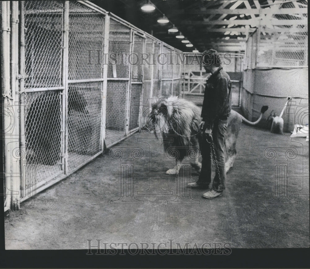 1975 Press Photo Trainer Loin Great America Marriott Co