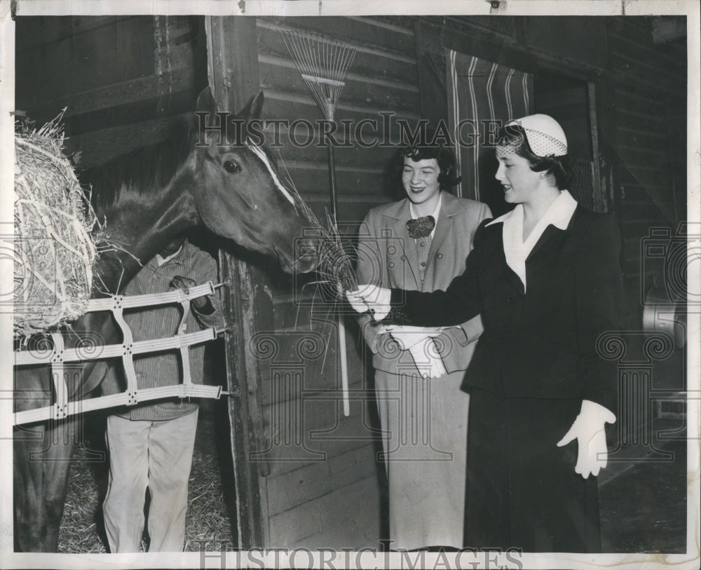 1951 Press Photo Arlington Park Aunt Jinny Racehorse