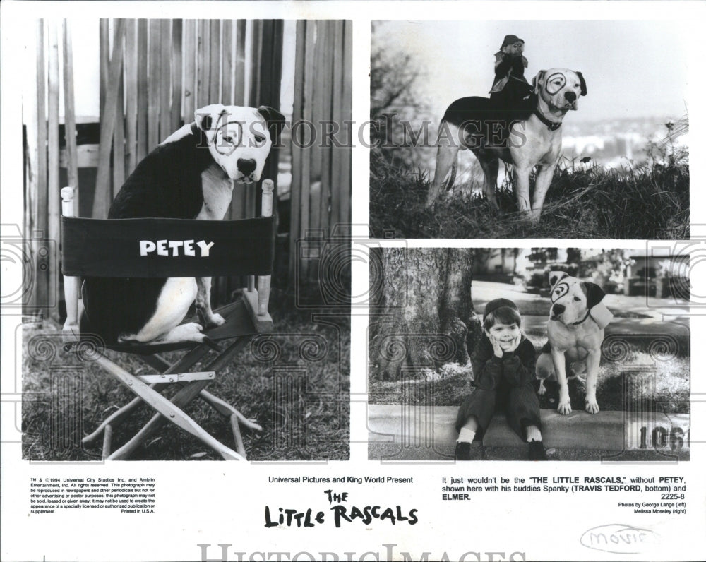 1996 Press Photo Petey, Spanky and Elmer. Actors