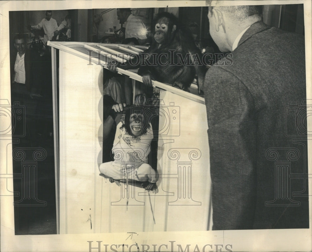 1964 Press Photo Museum Science Industry Steel Exhibit