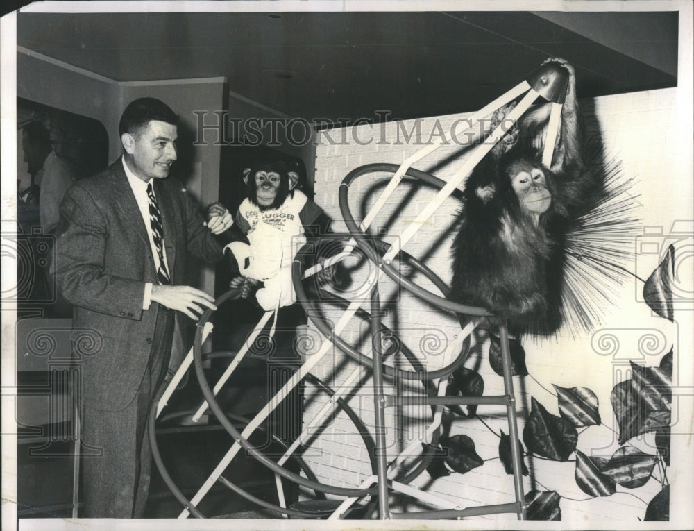 1964 Press Photo Museum Science Lincoln Park Zoo