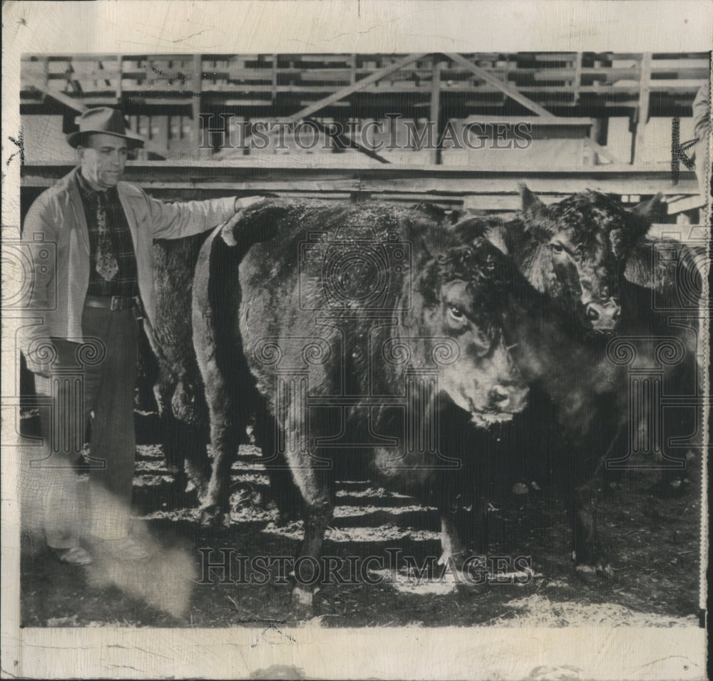 1949 Press Photo George Rosenow Angus Steers Omaha