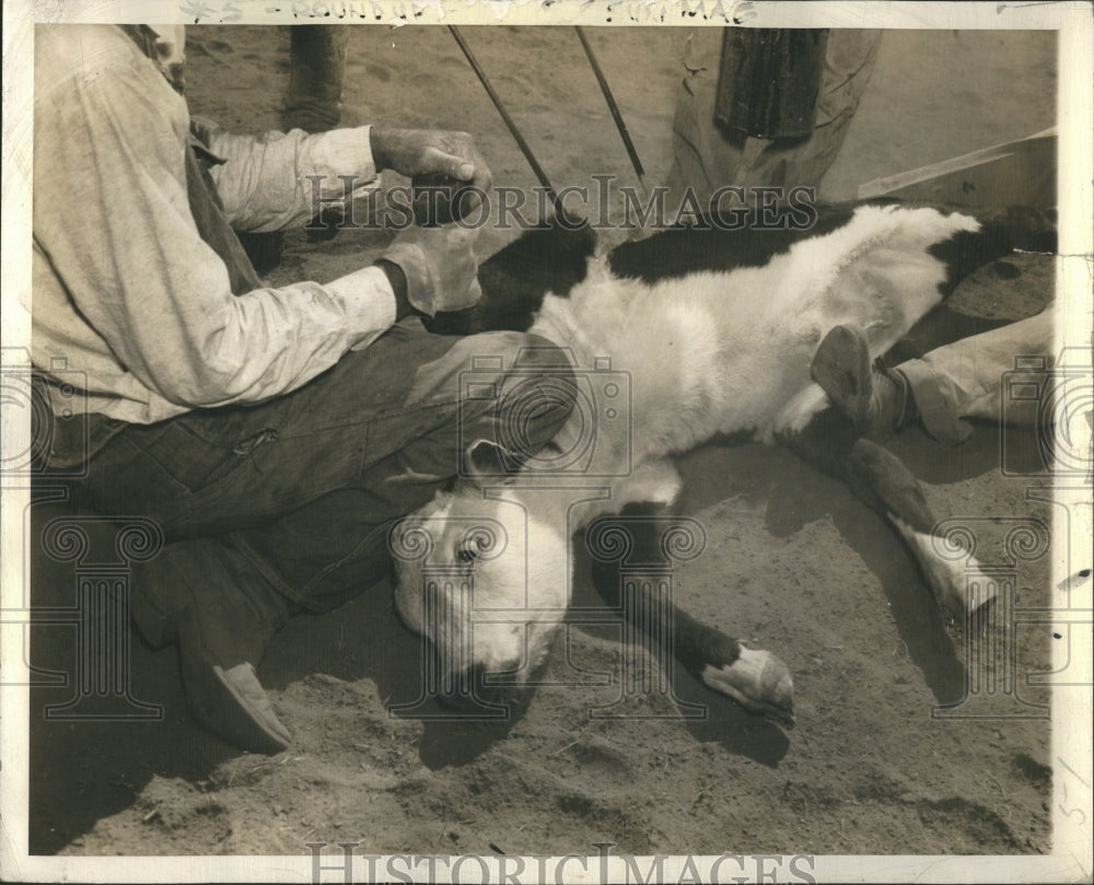 1942 Press Photo Branding Icon Fright Pain