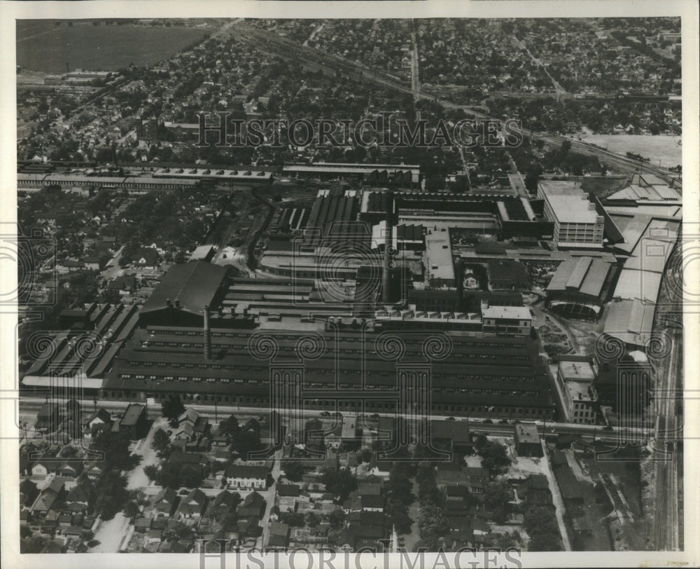 Press Photo Oliven Plant