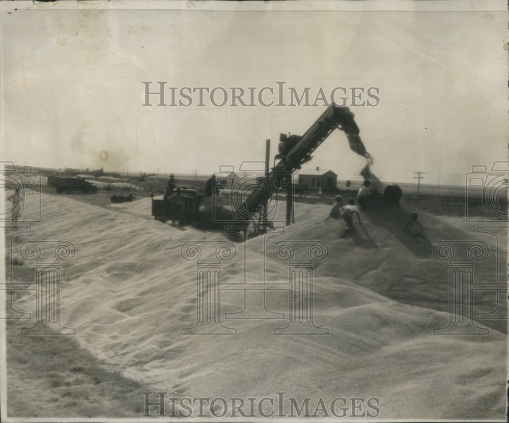 1946 Press Photo Wheat Bread Galore Ground Storage