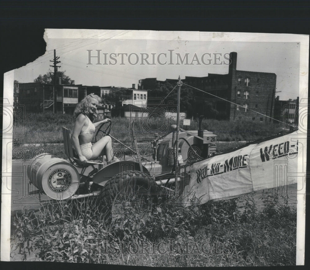 1947 Press Photo Chicagoan Noxious Weeds Chemical