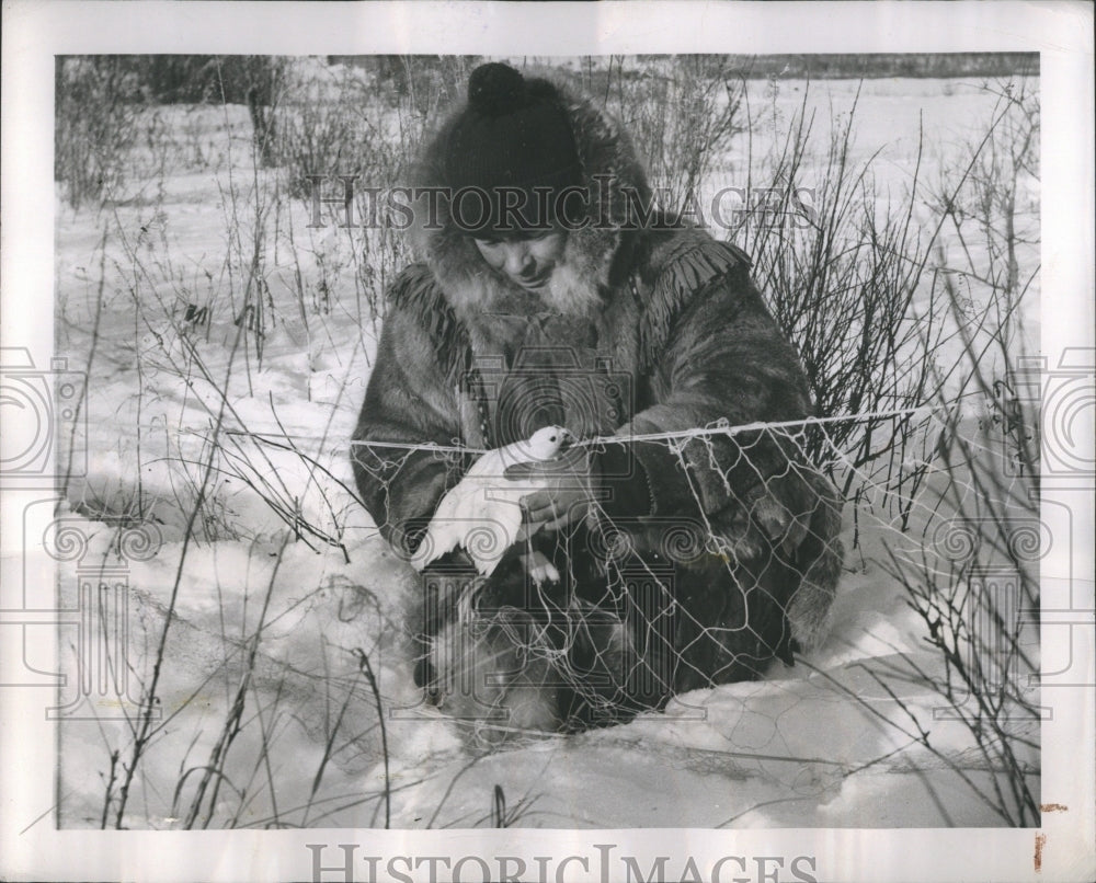 1949 Press Photo Birds: Ptarmigan