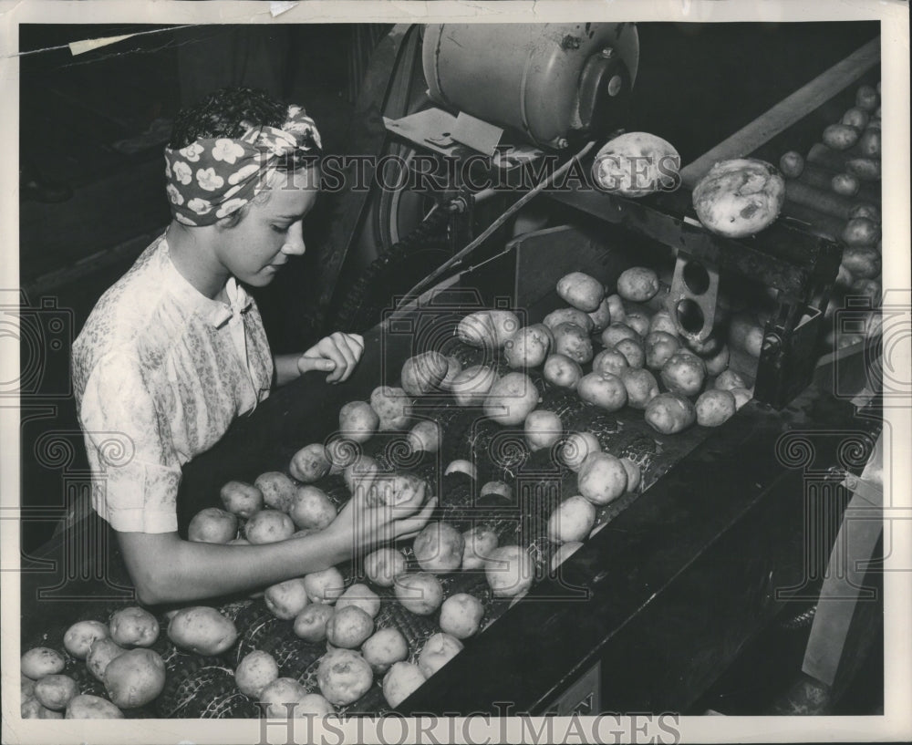 1948 Press Photo Jean Harvey, watches the grading of po