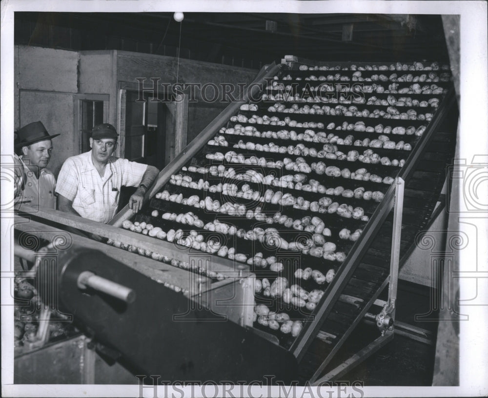 1949 Press Photo Potatoes Traders