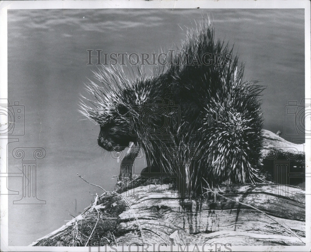 1961 Press Photo Storm State Weather Body Temperature