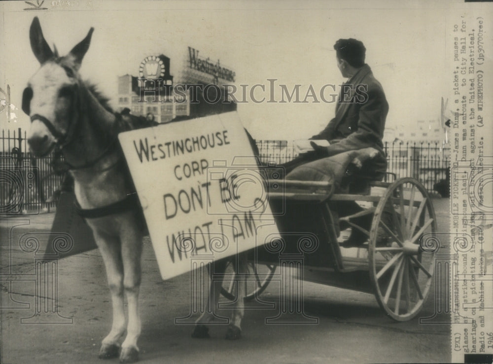 1946 Press Photo Horse With Sign