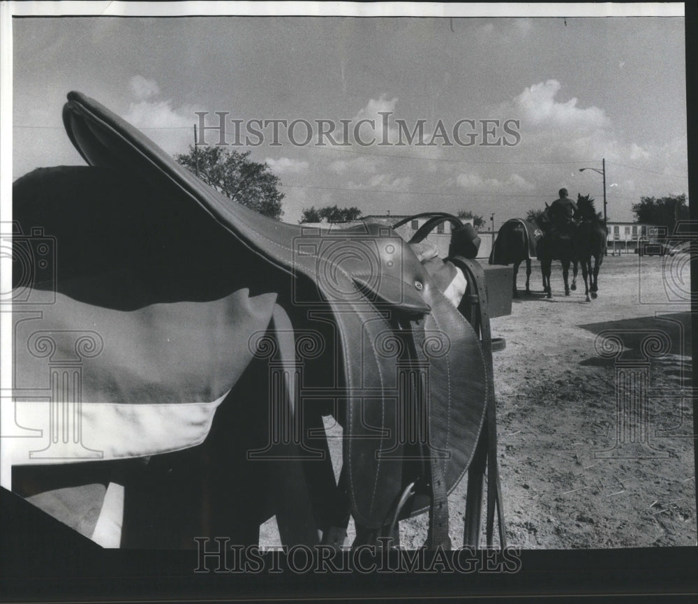 1974 Press Photo Creature Saddle Rider Load Animal Back