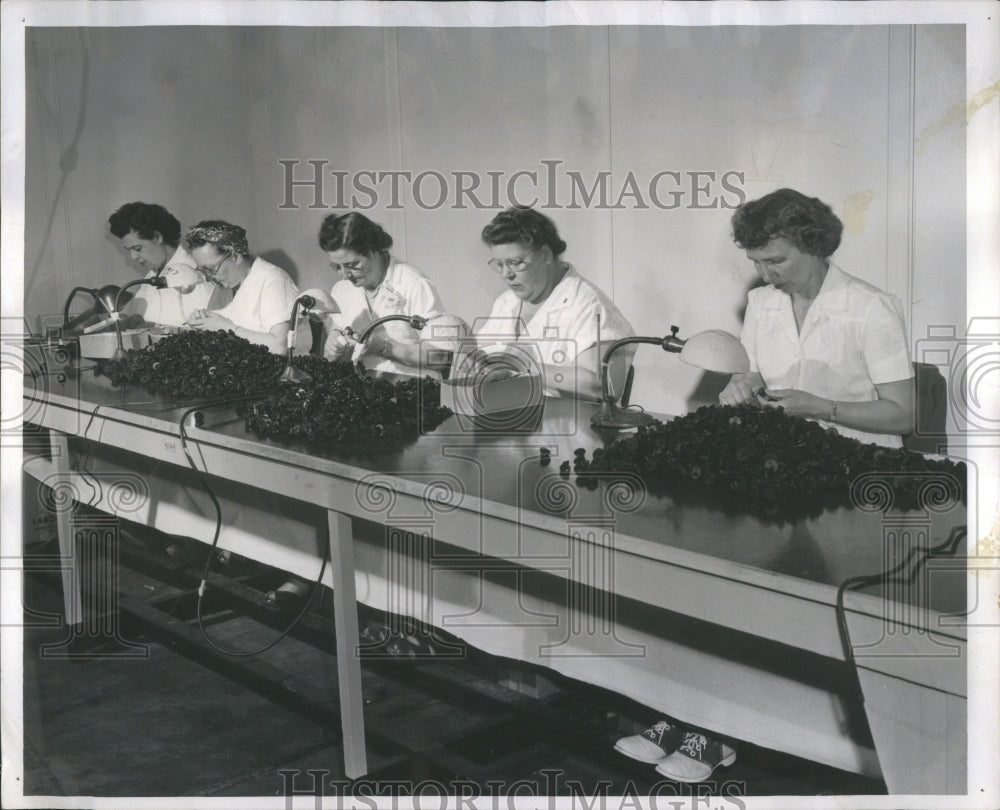 1952 Press Photo Ann Werenaki Bertha Balberg Martha